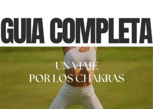 UN VIAJE POR LOS CHAKRAS
